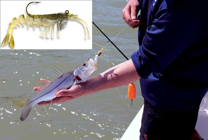 AKKOI Diplomat edible Soft Plastics fishing lures baits silicone 50 60 100 125mm 